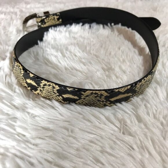 Natural Genuine Snakeskin Brushed Silver Metal Buckle Belt main image 9